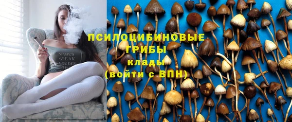 стаф Алексеевка